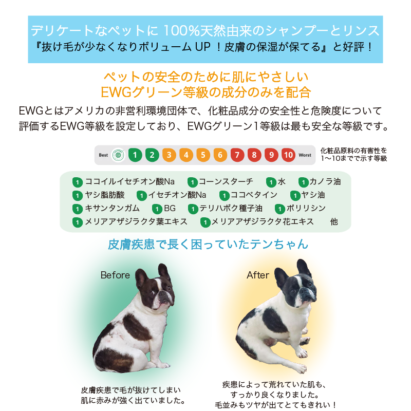SUO FOR DOGS ALL IN ONE SHAMPOO BAR アメニティサイズ