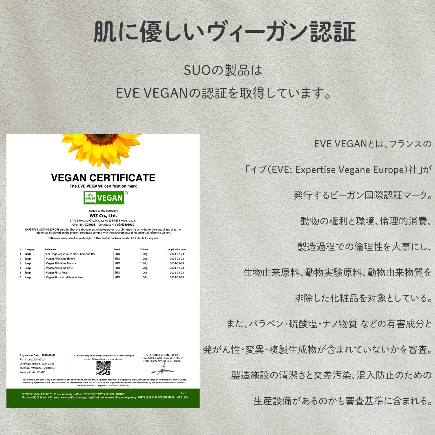 SUO All in one アメニティサイズ