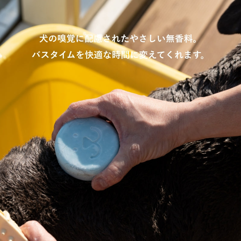SUO FOR DOGS ALL IN ONE SHAMPOO BAR