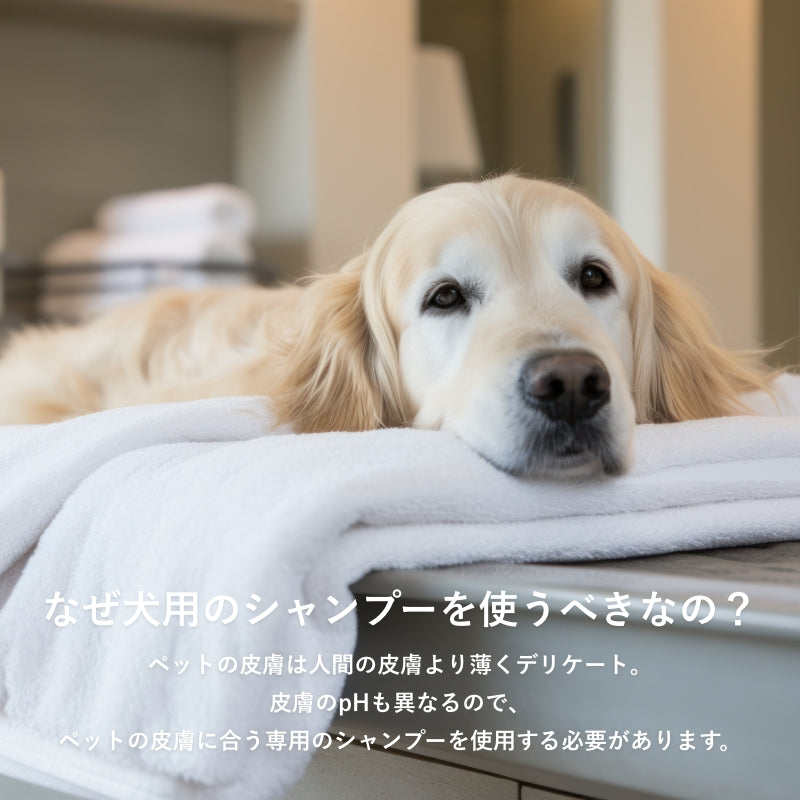 SUO FOR DOGS ALL IN ONE SHAMPOO BAR