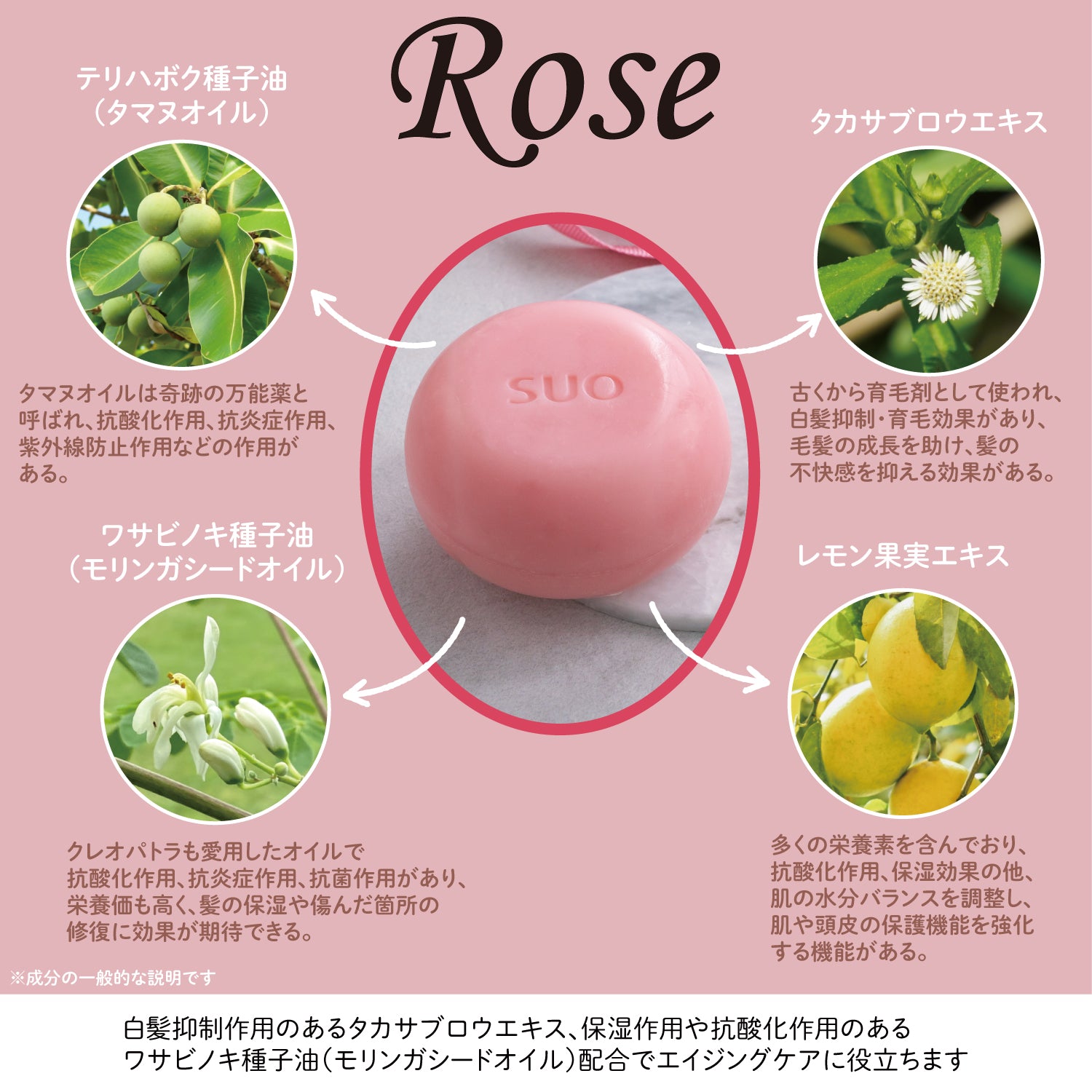【キャンペーン対象商品】SUO All in one &amp; Rinse Set